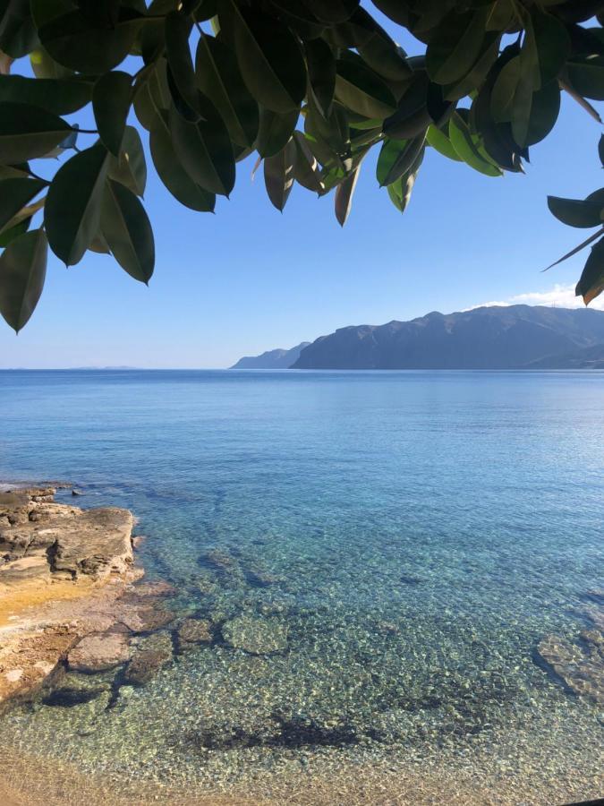 The Island House - Family Size Apt - Overlooking The Aegean - 3 Steps From The Beach Mókhlos Eksteriør bilde
